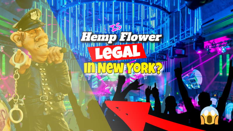 Image illustrates the legality of Hemp in NY