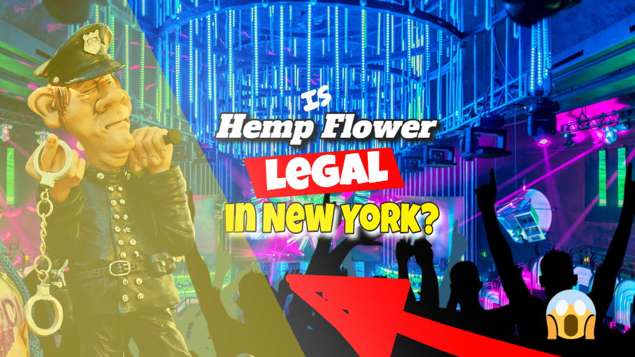 Featured image bearing the text: "Is Hemp Flower Legal in NY".