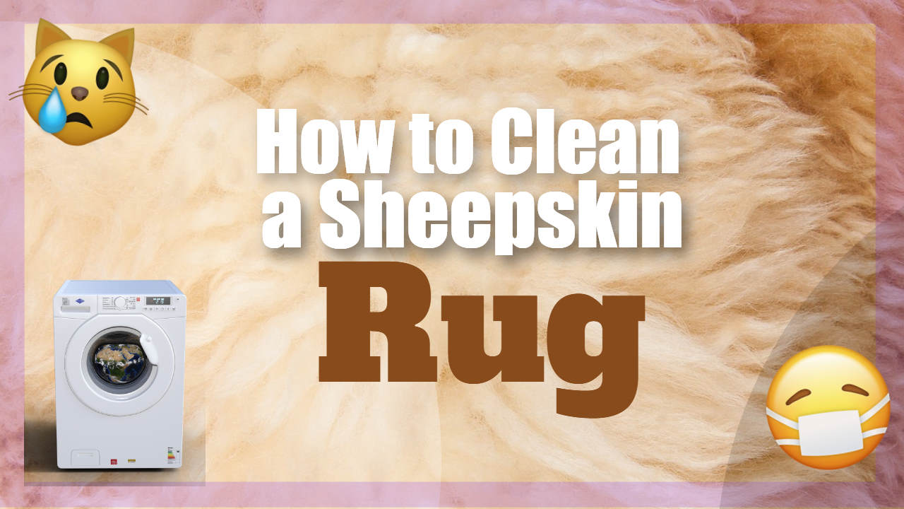 How to Clean a Sheepskin Rug Even When Your Pet Thinks It’s A Bed