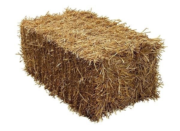 Barley Straw Bales