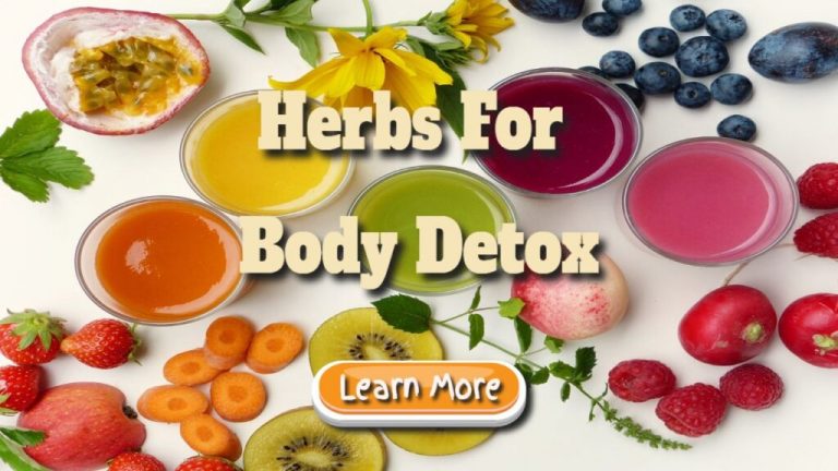 Herbs for Body Detox - Oceans Bounty