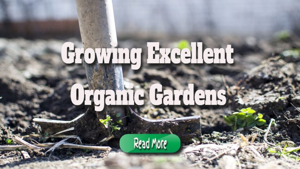 growing excellent organic gardens